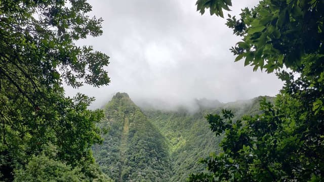 Céu muito nublado e possível chuva fraca nas terras altas da Madeira