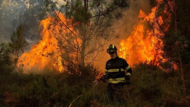 Dezassete concelhos de oito distritos em perigo máximo de incêndio