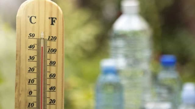 Sete distritos do continente sob aviso amarelo nos próximos dias devido ao calor