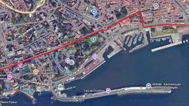 Funchal junta-se à caminhada nacional 'Portugal pela Paz' no próximo domingo