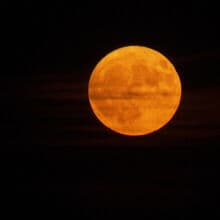 <![CDATA[ 'Lua de Morango' ilumina os céus de Viena... e nem sequer é vermelha   ]]>