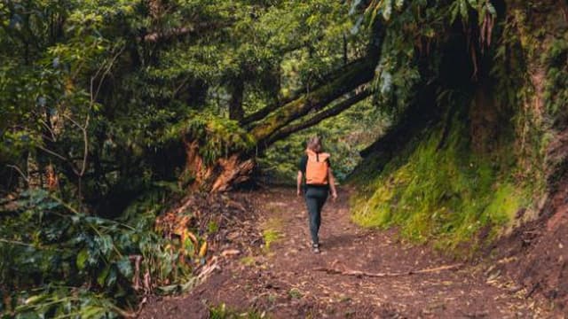 Açores distinguidos com prémio de Melhor Destino de Aventura da Europa 2026
