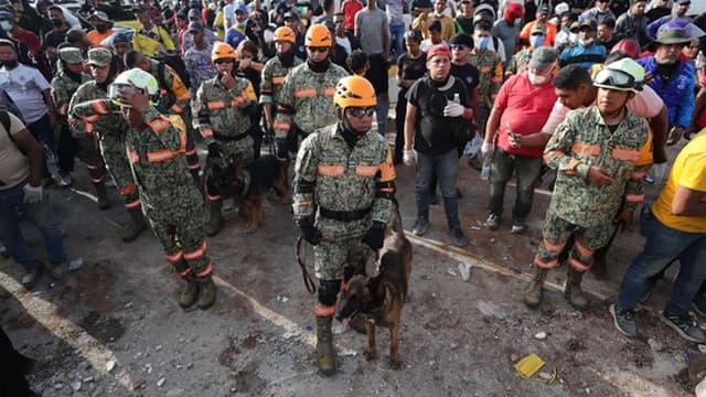 Número de portugueses e lusodescendentes mortos sobe para 41