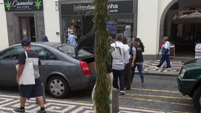 ARAE e PJ realizam acção em loja de canábis no Funchal