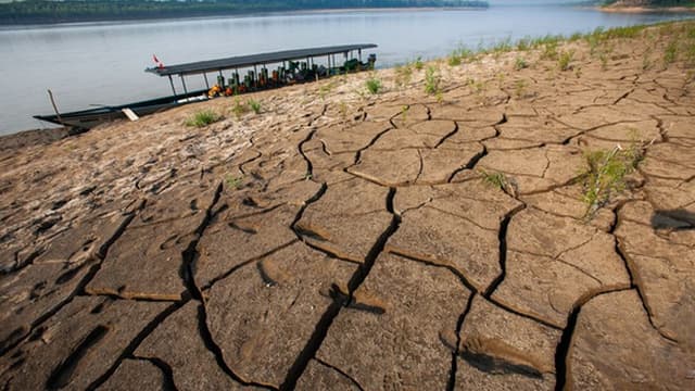 Governo brasileiro admite que seca pode superar recorde na Amazónia