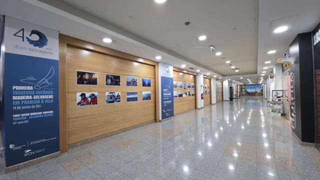 15 anos da travessia oceânica Madeira–Selvagens assinalados com exposição